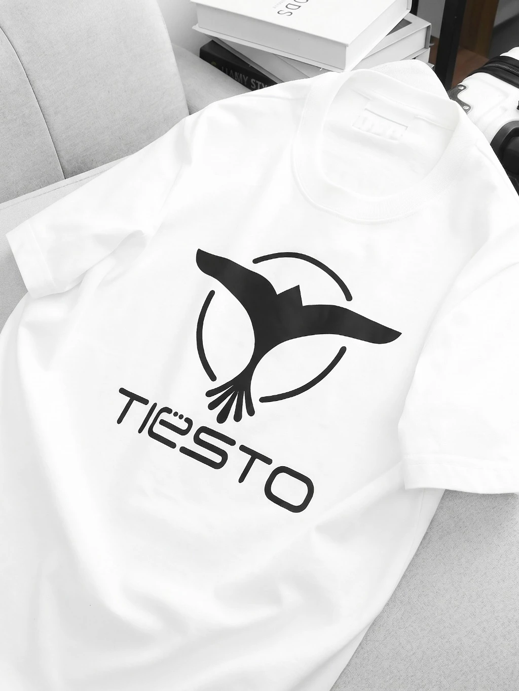Raver: Tiesto 1 - Ảnh 6
